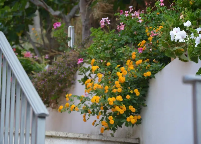 住宿加早餐酒店 卡萨洛萨住宿加早餐酒店 帕奥拉
